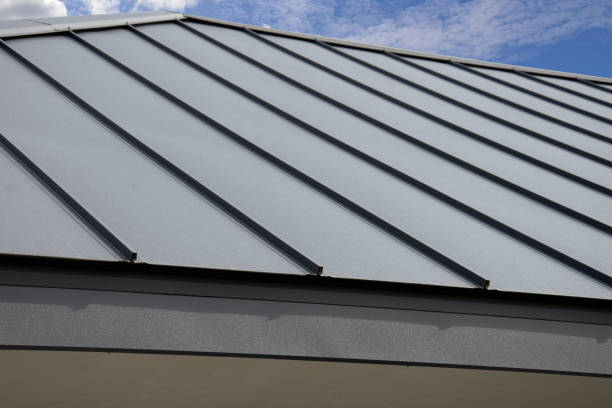 Best Sheet Metal Roofing  in Montura, FL